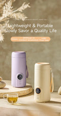 550ML Portable Electric Kettle – Adjustable Temperature
